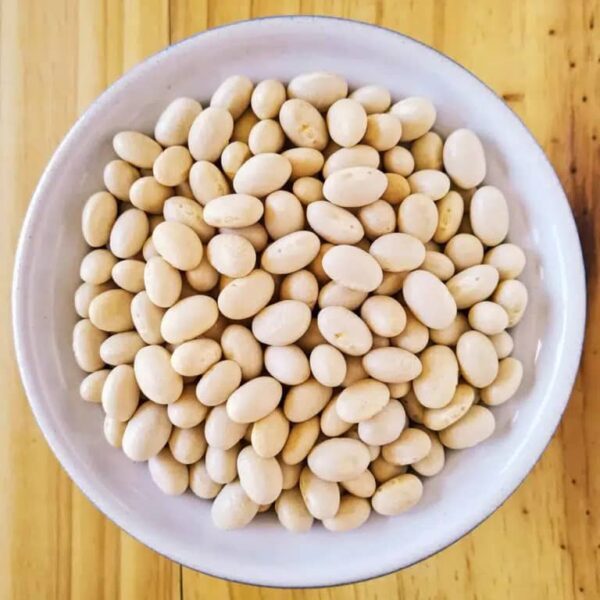 Small White Haricot Beans